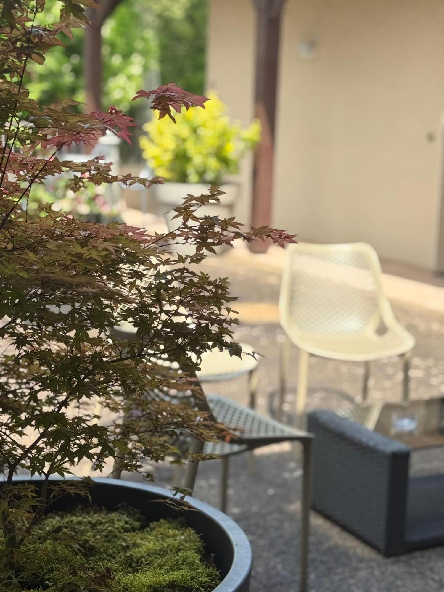 维克多雨果酒店 Saint-Céré 外观 照片